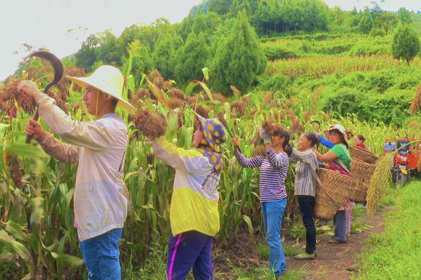 Nֲ͹һæոAhýwĹD