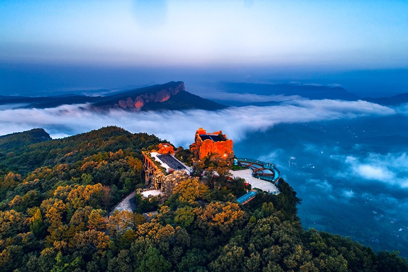 T.BBTƺ whĻκwֹD