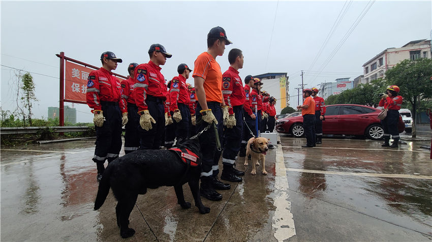 ĴWԺڴ꠺͞oмtʮɽؾԮѻٵ__չѾcDƹohýwD