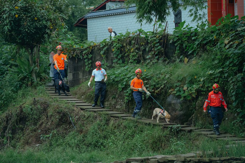 ԮFoмtʮɽؾԮ꠹D