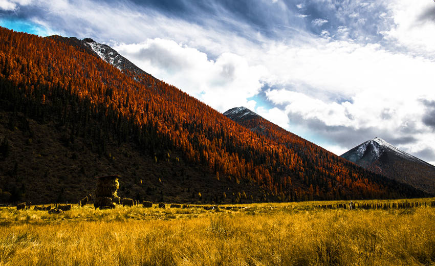 阿科里草原。金川縣委宣傳部供圖