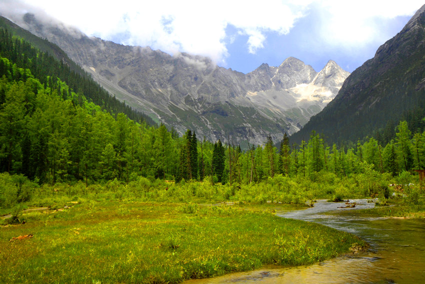 高山草甸。達古冰川景區管理局供圖