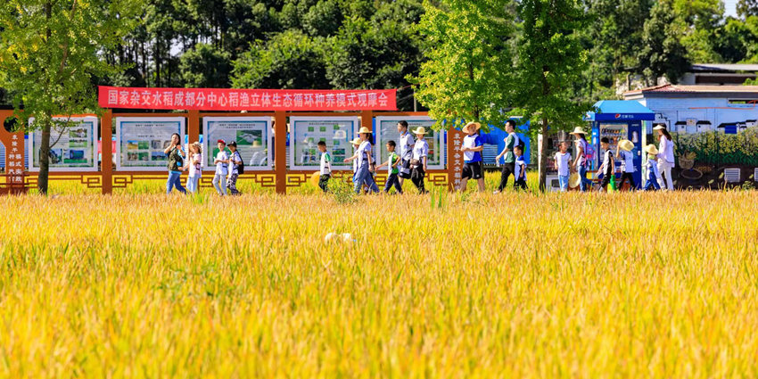 Ԭ¡ƽsˮƌW@^Ħۯ^ίD