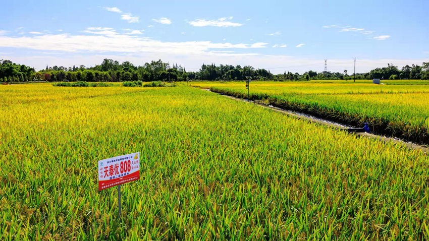 Ԭ¡ƽsˮƌW@ۯ^ίD