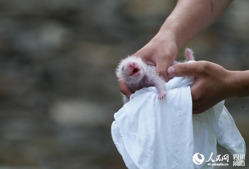 ؈ƽƽM10Дz