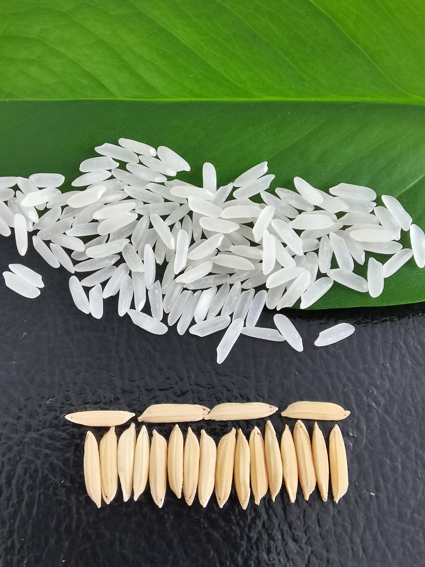 ̩808Ԭ¡ƽsˮƌW@D