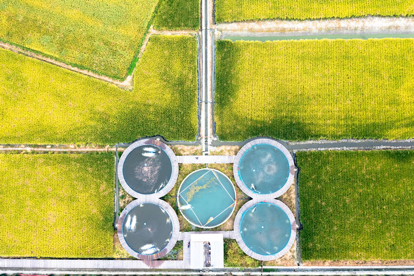 Ԭ¡ƽЈFɵONBõƷNԬ¡ƽsˮƌW@D