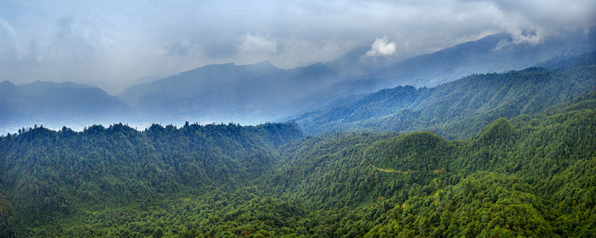 SɽR߅ýwĹD