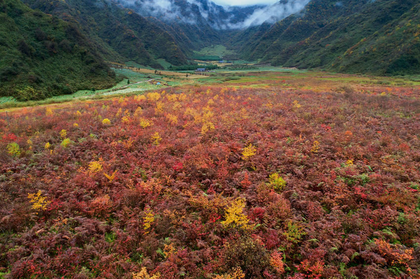 ںﾰںӅ^ýwĹD