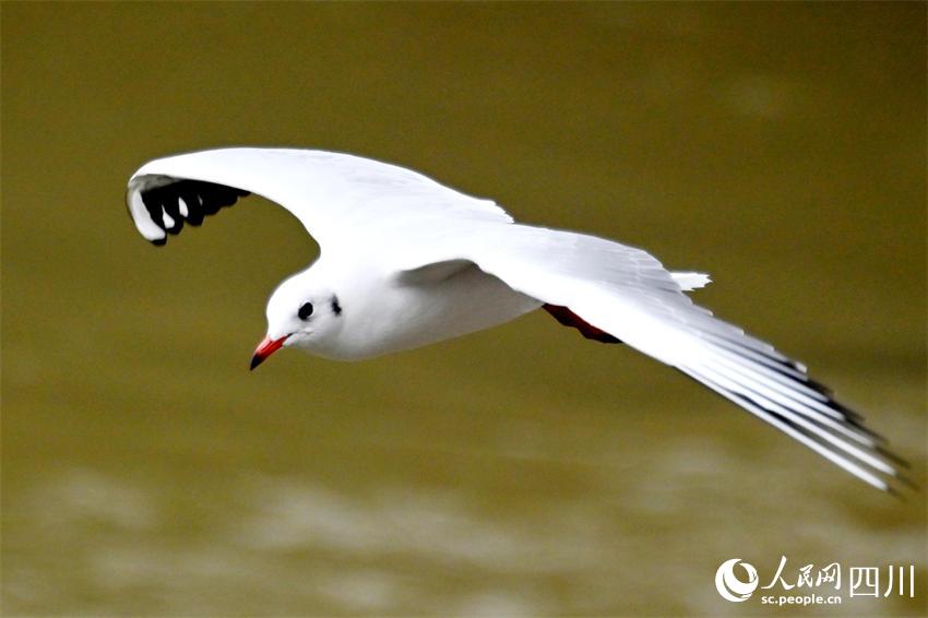 ttwëɫc_Գʼtɫw󲿷ֵëɫβɫ؄eːz