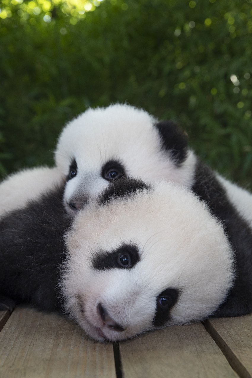 Դ؈p̥g衱͡AཡՄ@D