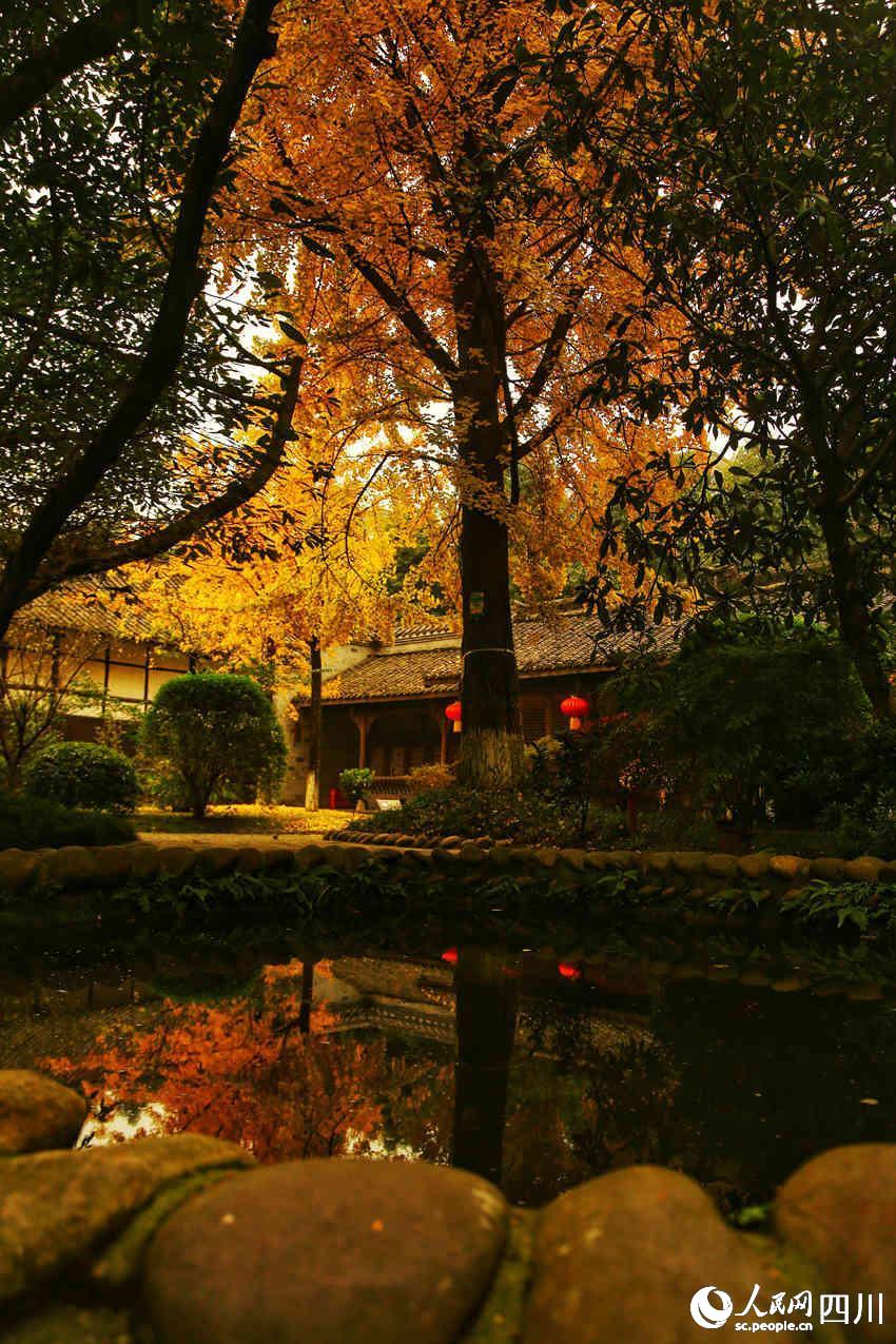 ɫybcµĹĭʾκz