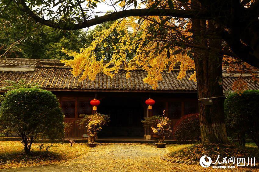 ɫybcµĹĭʾκz