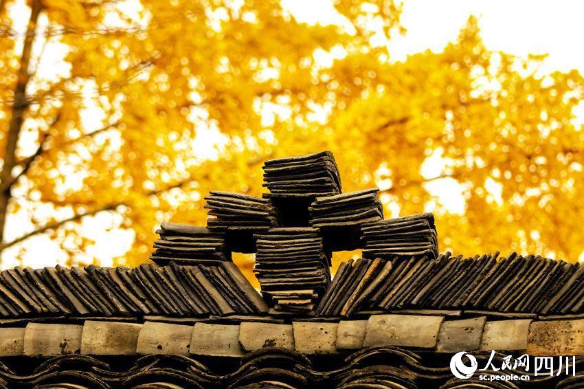 ɫybcµĹĭʾκz