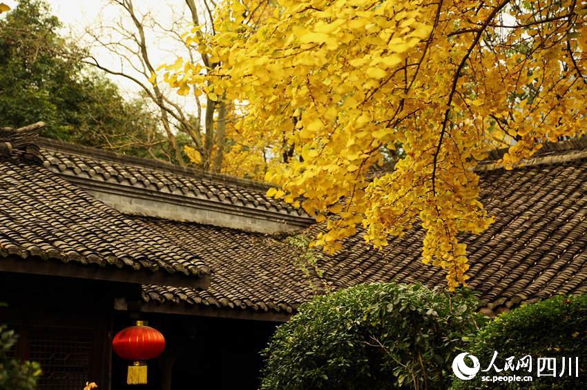 ɫybcµĹĭʾκz