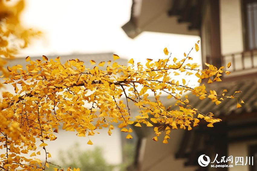 ɫybcµĹĭʾκz