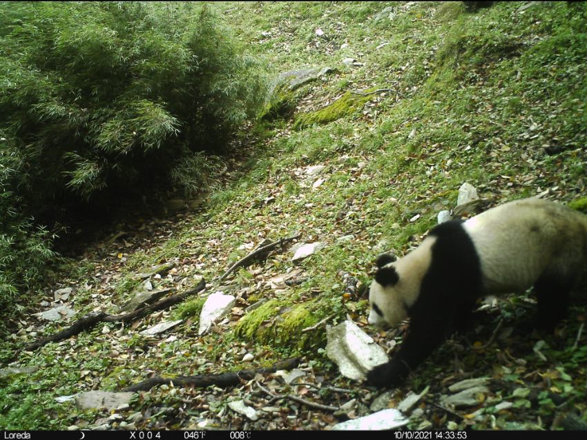 bڰ׹ƺݠ^ʯϸһ_tCĔz؈Ӱ؈ҹ@VԪ־ƼҺƬ^D