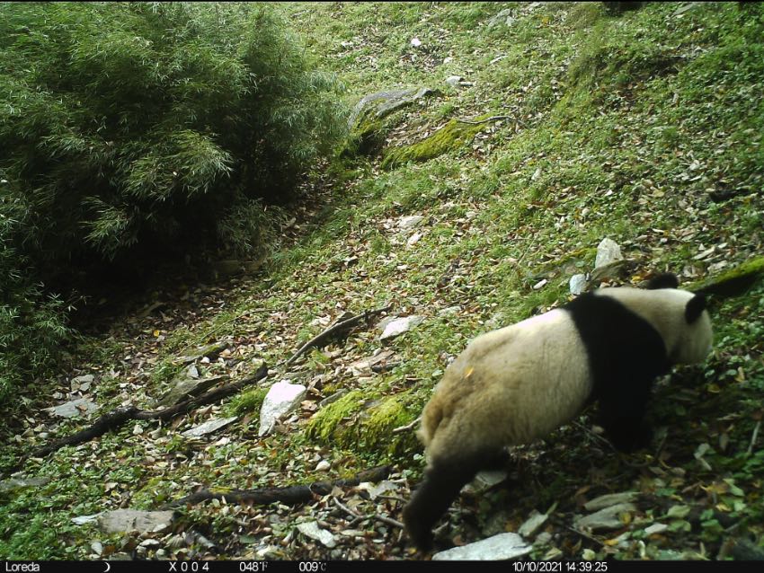 bڰ׹ƺݠ^ʯϸһ_tCĔz؈Ӱ؈ҹ@VԪ־ƼҺƬ^D