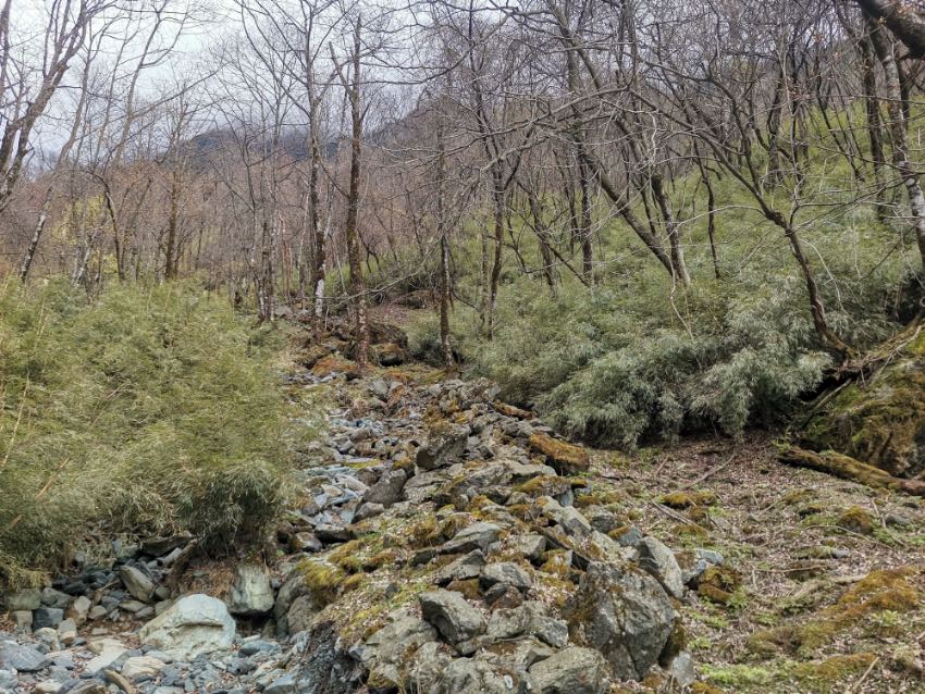 ؈ҹ@ƼҺƬ^؈ҹ@VԪ־ƼҺƬ^D