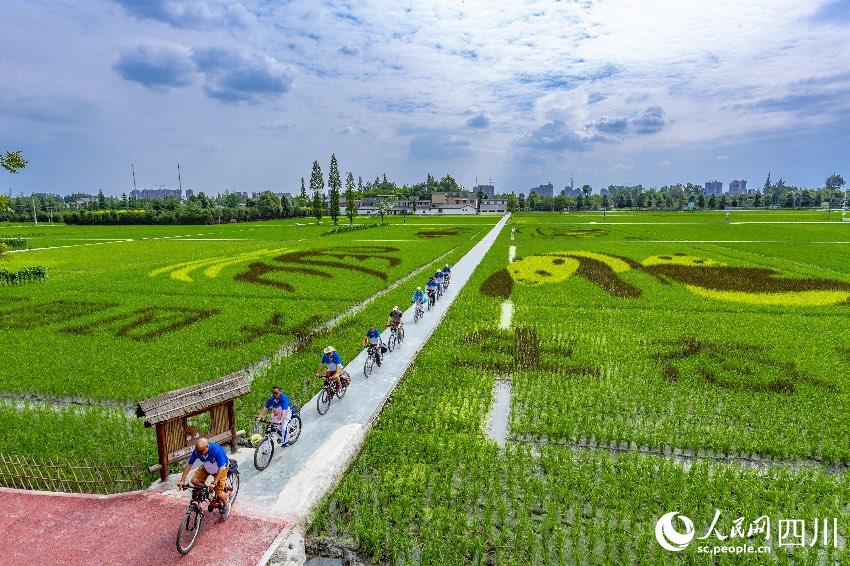 ɶؽ^fֵGοܾGTеĿ옷־z