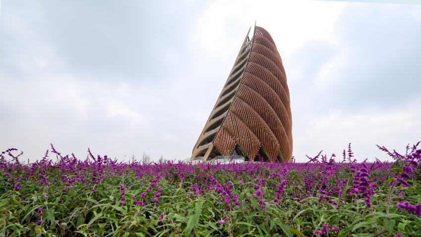 ɶ؈о؈ɶ؈оعD