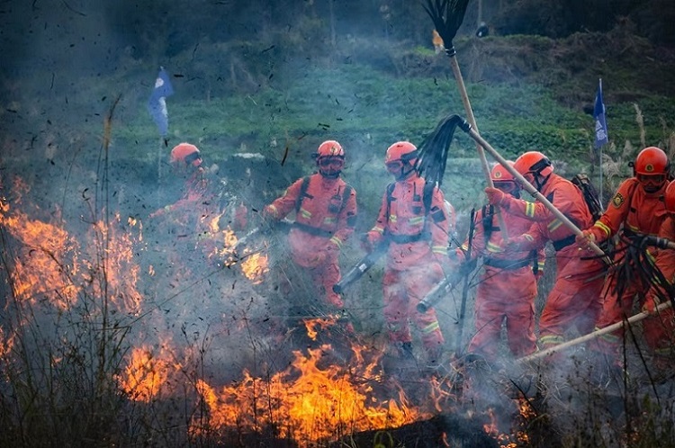 աСˡ̎ûɶБֹD