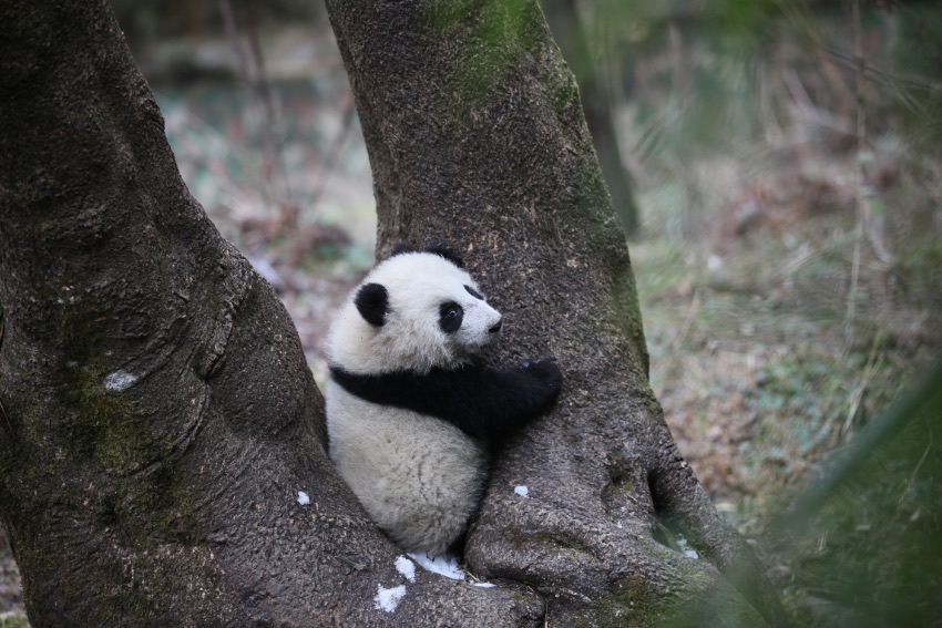 2018ꄂҰġСҡЇ؈oоĹD