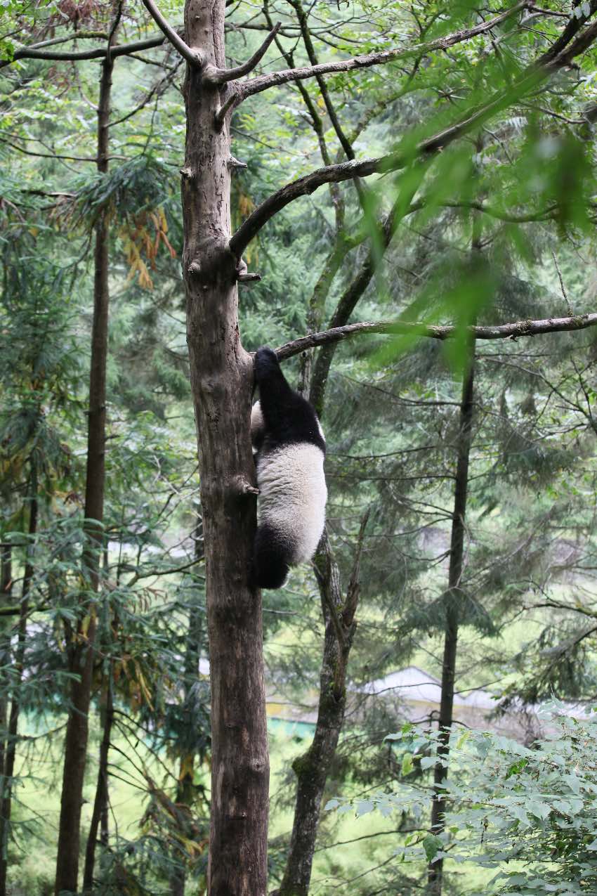 2018ꄂҰġСҡЇ؈oоĹD