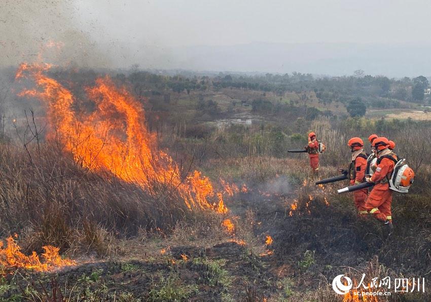 ɶɭԮˆTMМ𑪼ݾSz