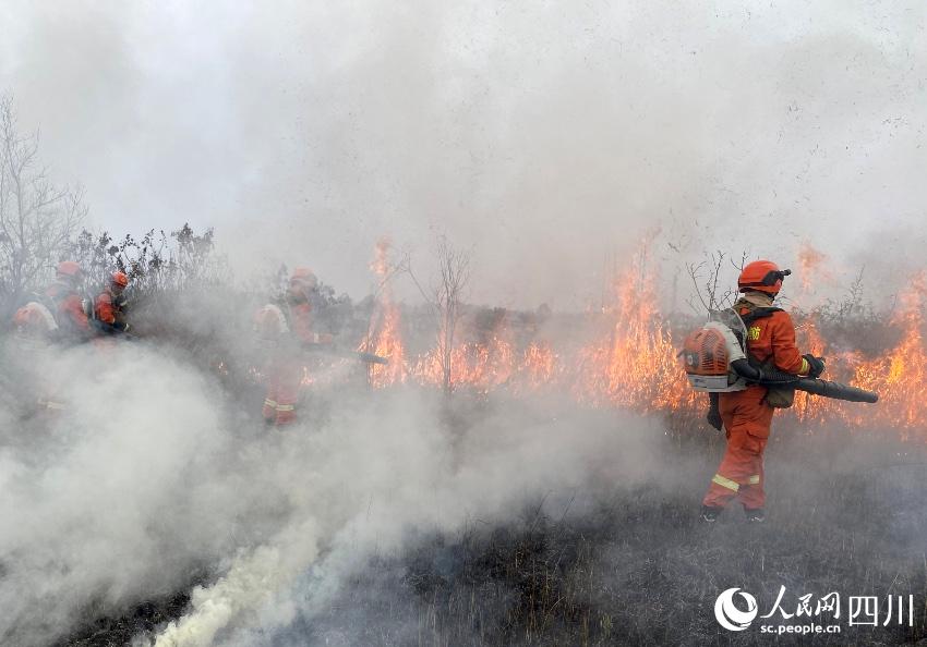 ɶɭԮˆTMМ𑪼ݾSz