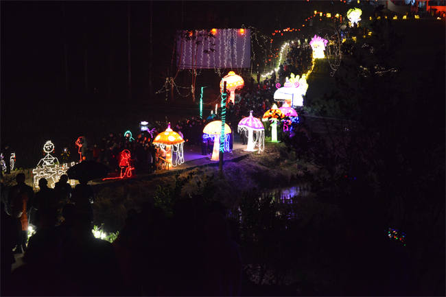 田野邊的燈會。榮縣融媒體中心供圖