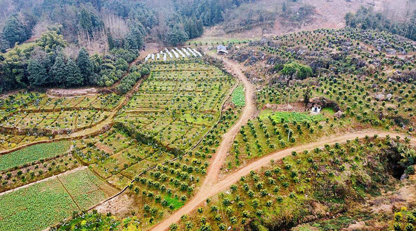 80஀ҰҸϲӭSýwĹD