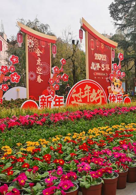 萌虎拜年春意滿，人民公園人民暖