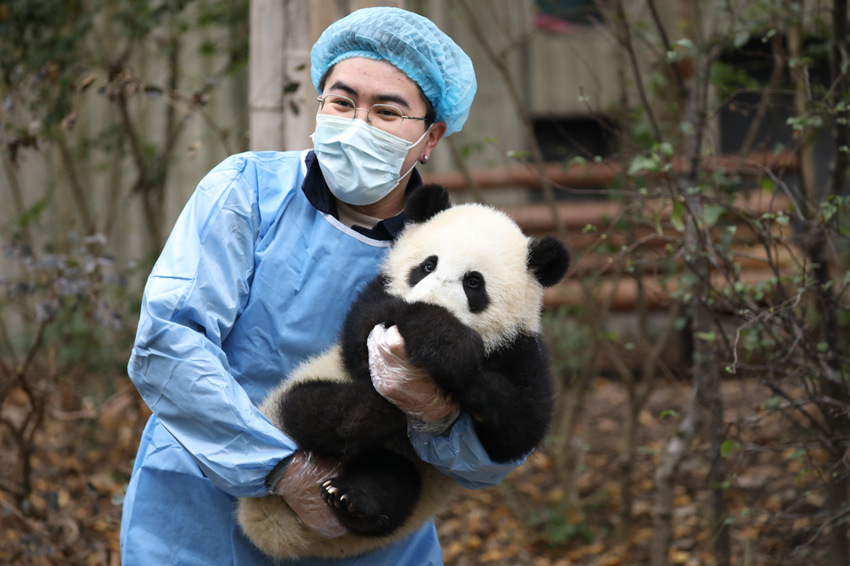 ؈BTȫ´ףɶ؈оعD