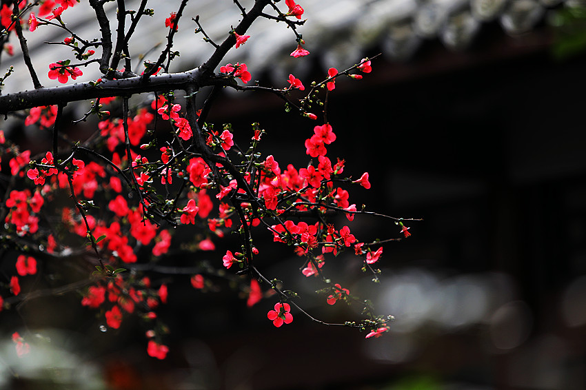 ĺ@ľ`źĻոýD