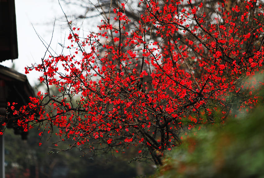 ĺ@ľ`źĻոýD