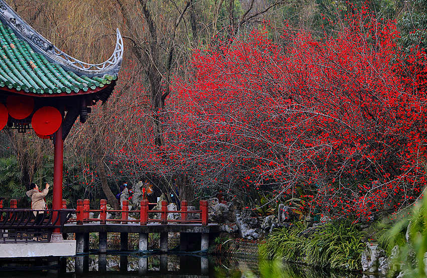 ĺ@ľ`źĻոýD