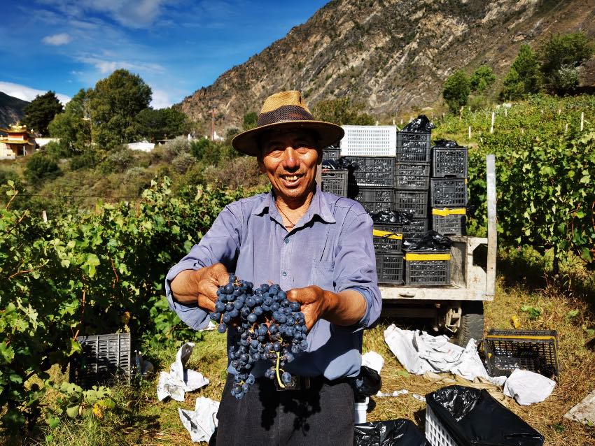 ĴʡݵͿhrSյϲͿhίD