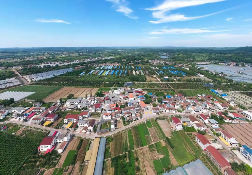 ĴʡY㽭^̼҉δ㽭^ίD