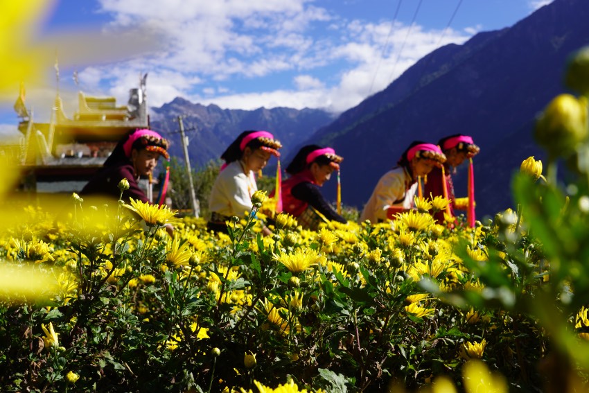 ĴʡݵͿhræ˾ͿhίD