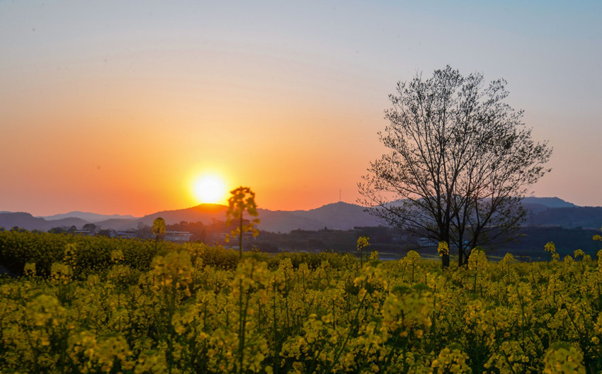 ϦµĽÿhPͲ˻ÿhίD