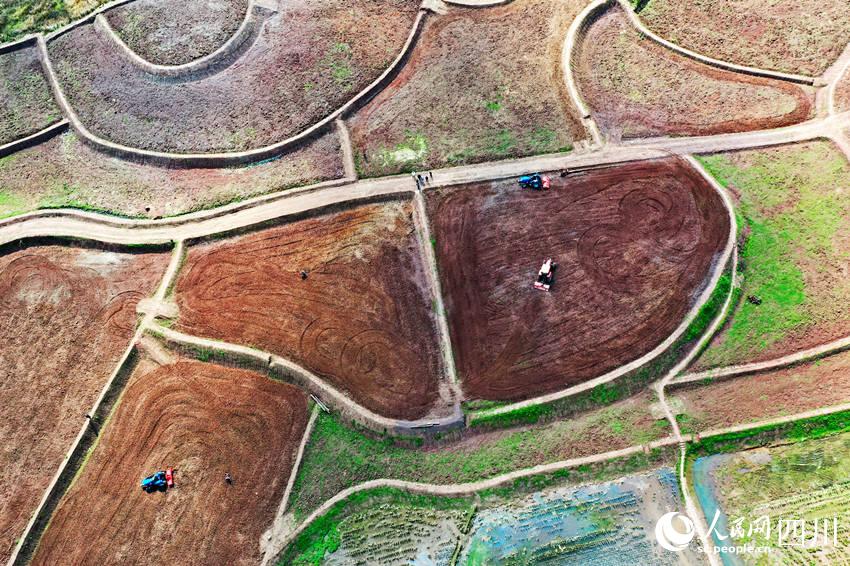 農民正忙著進行機耕作業。黃正華攝