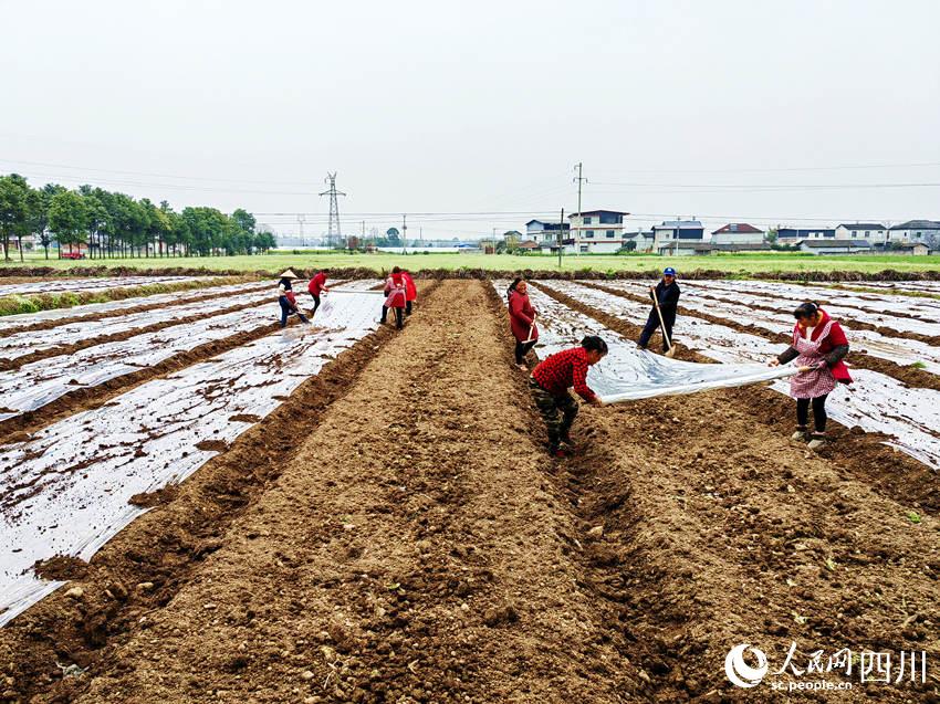 ߲˻wĤʂNֲ߲揊z