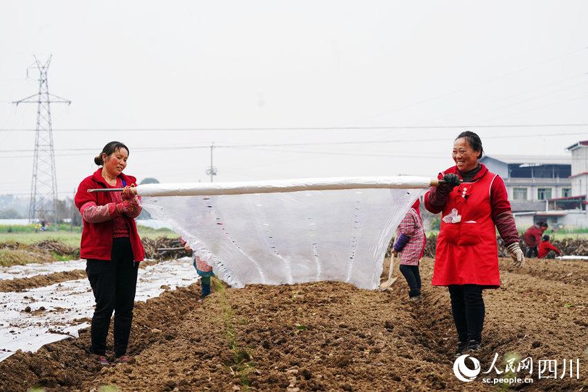 ߲˻wĤʂNֲ߲揊z