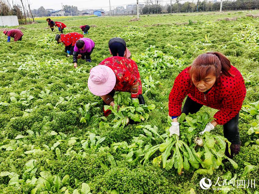 ړՈA}v؞鴺ʂ揊z