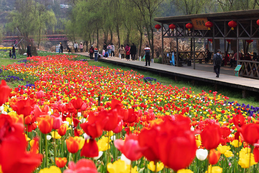 _cľȵxӳ{ϪýwĹD