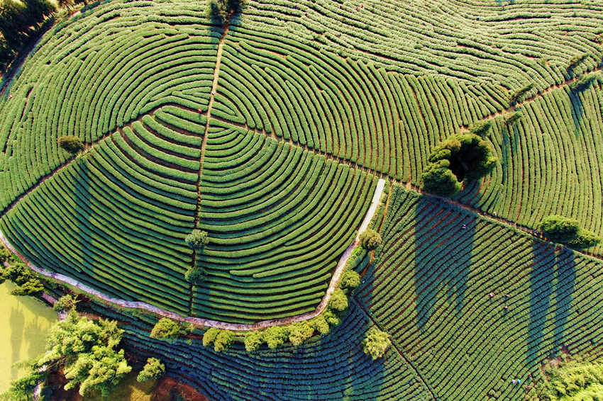 GɫָyӡɽҰ΄ٴz