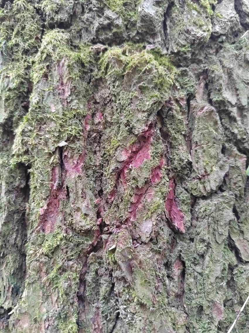 ؈ץ؈ҹ@ĴVԪƼҺӹD