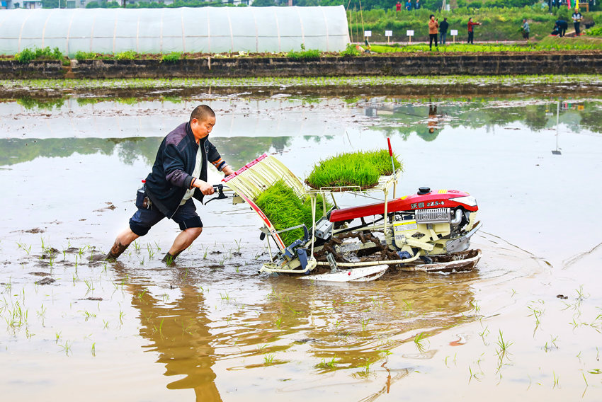 rˆTMЙCеʾFƽz