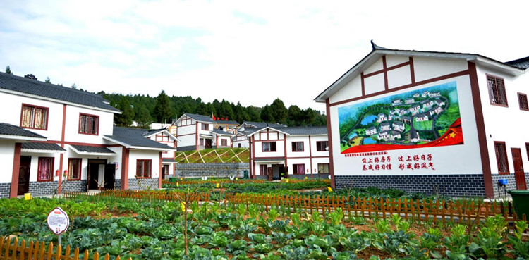 sҴԺ׵ذwcwhýwĹD